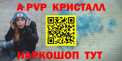 гашик Тара
