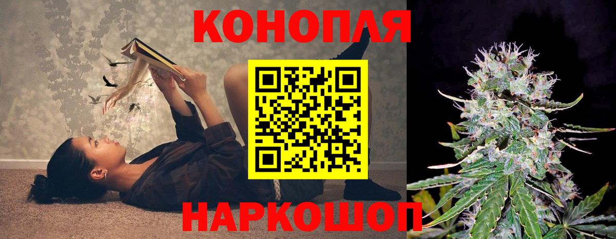 Канабис конопля Ногинск